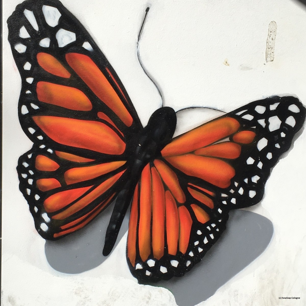 Recovery yoga 3 –&nbsp;butterfly
