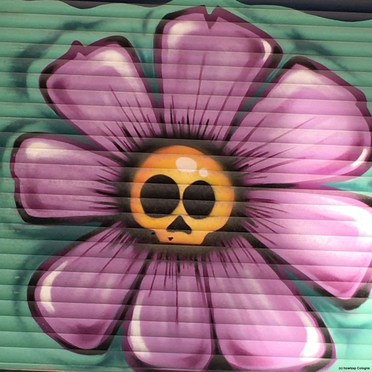 Carers bring more than&nbsp;flowers…