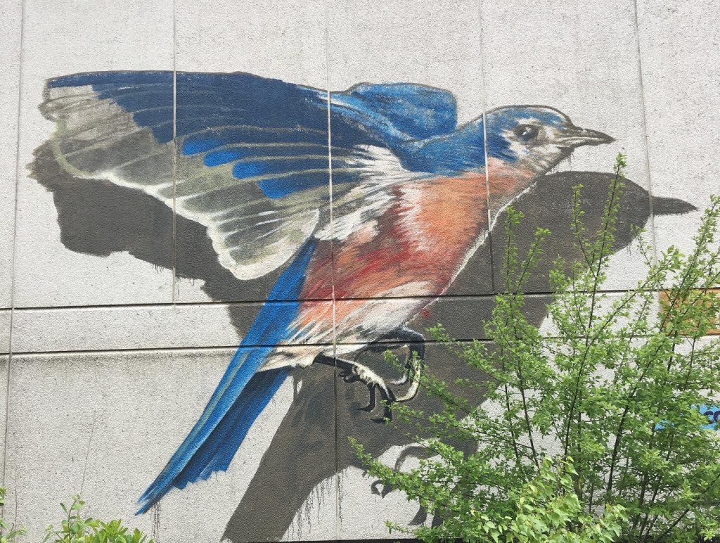„It feels as if a heavy burden has been lifted. My heart feels like a bird that can fly again after being confined. The relief has wings.“ 