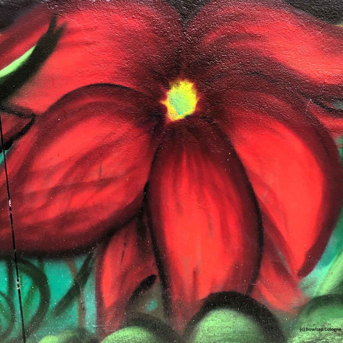 Bright-red-patches-of-inflammation again!