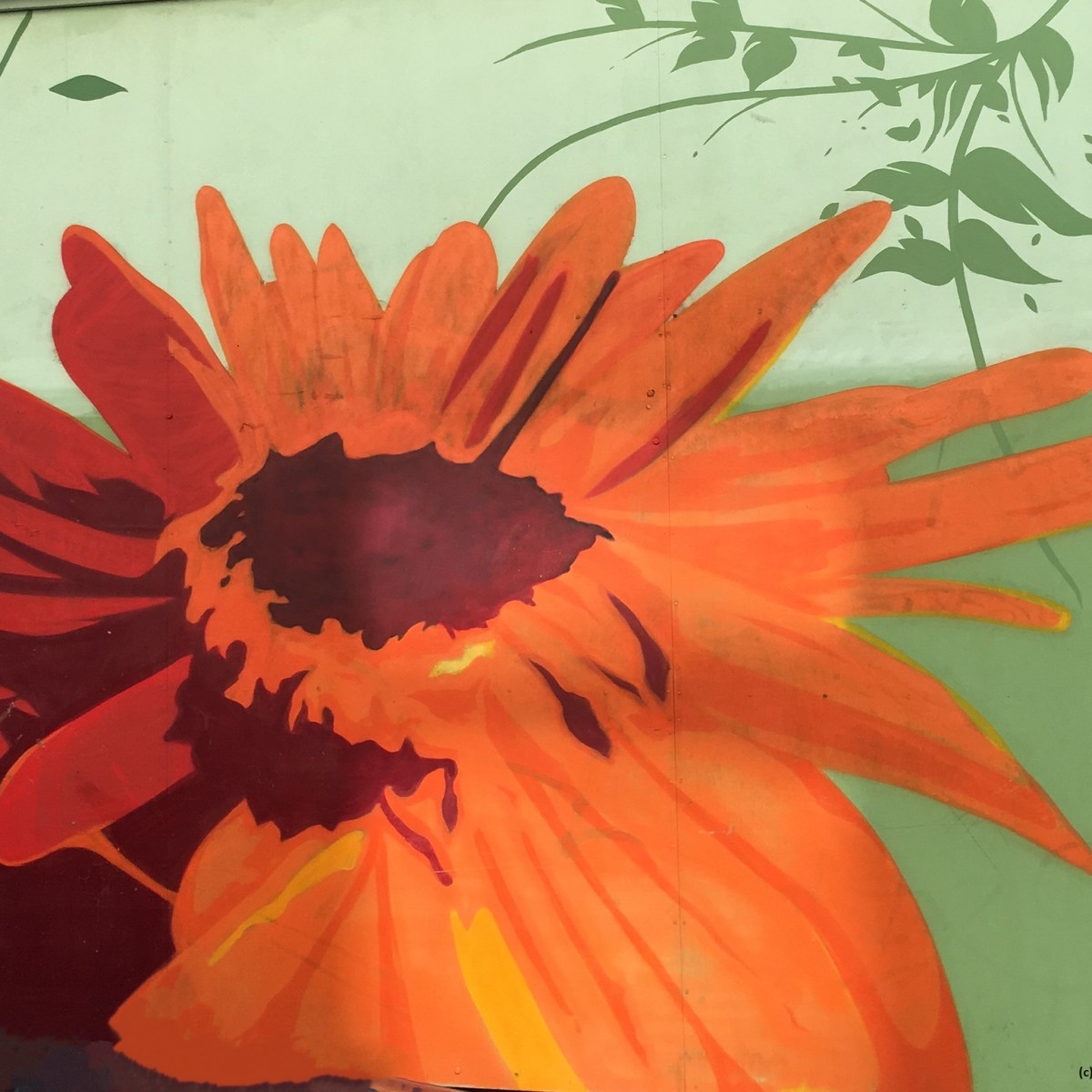 *Bladder healing & CT&nbsp;scanxiety*