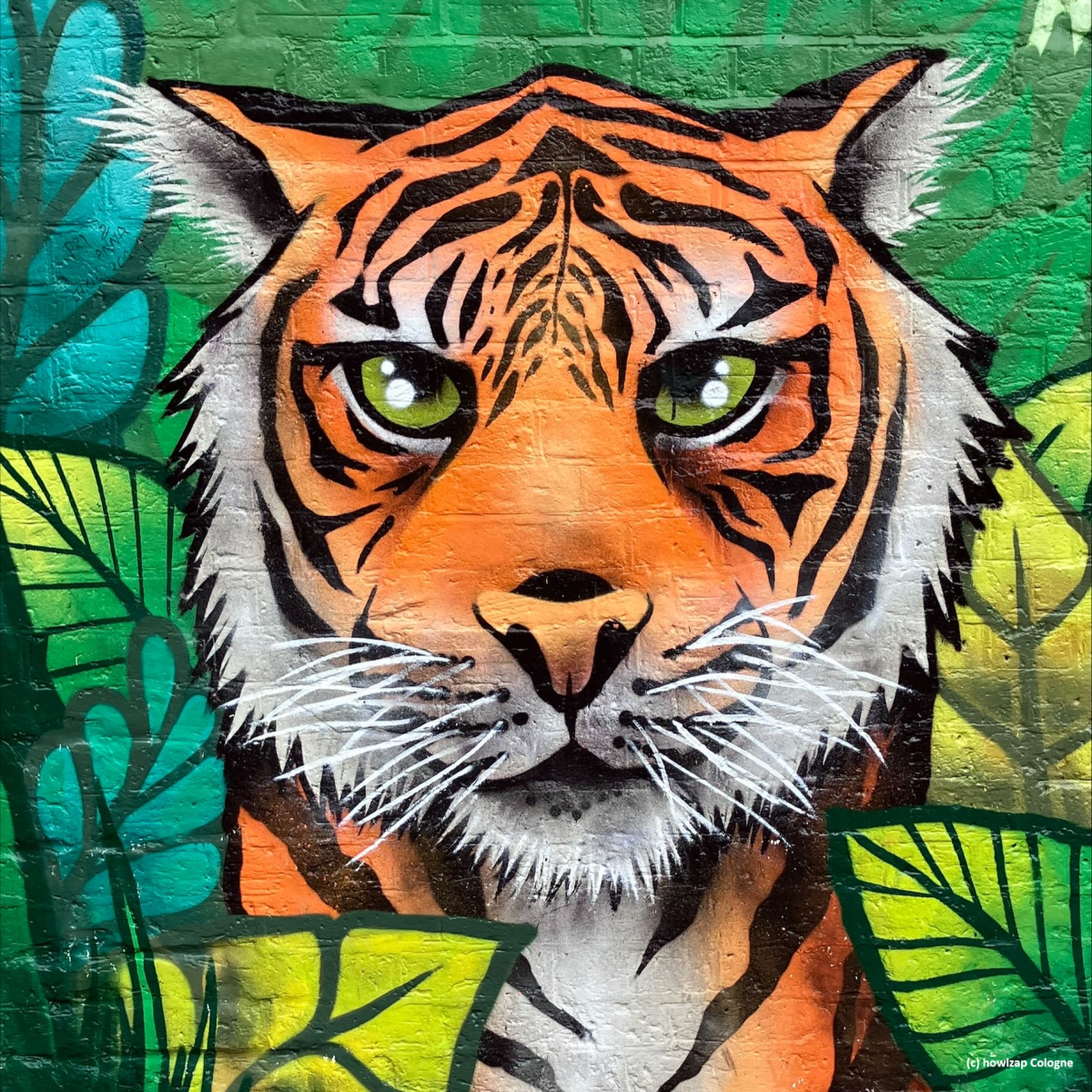 *Scanxiety – stealth as a&nbsp;tiger*