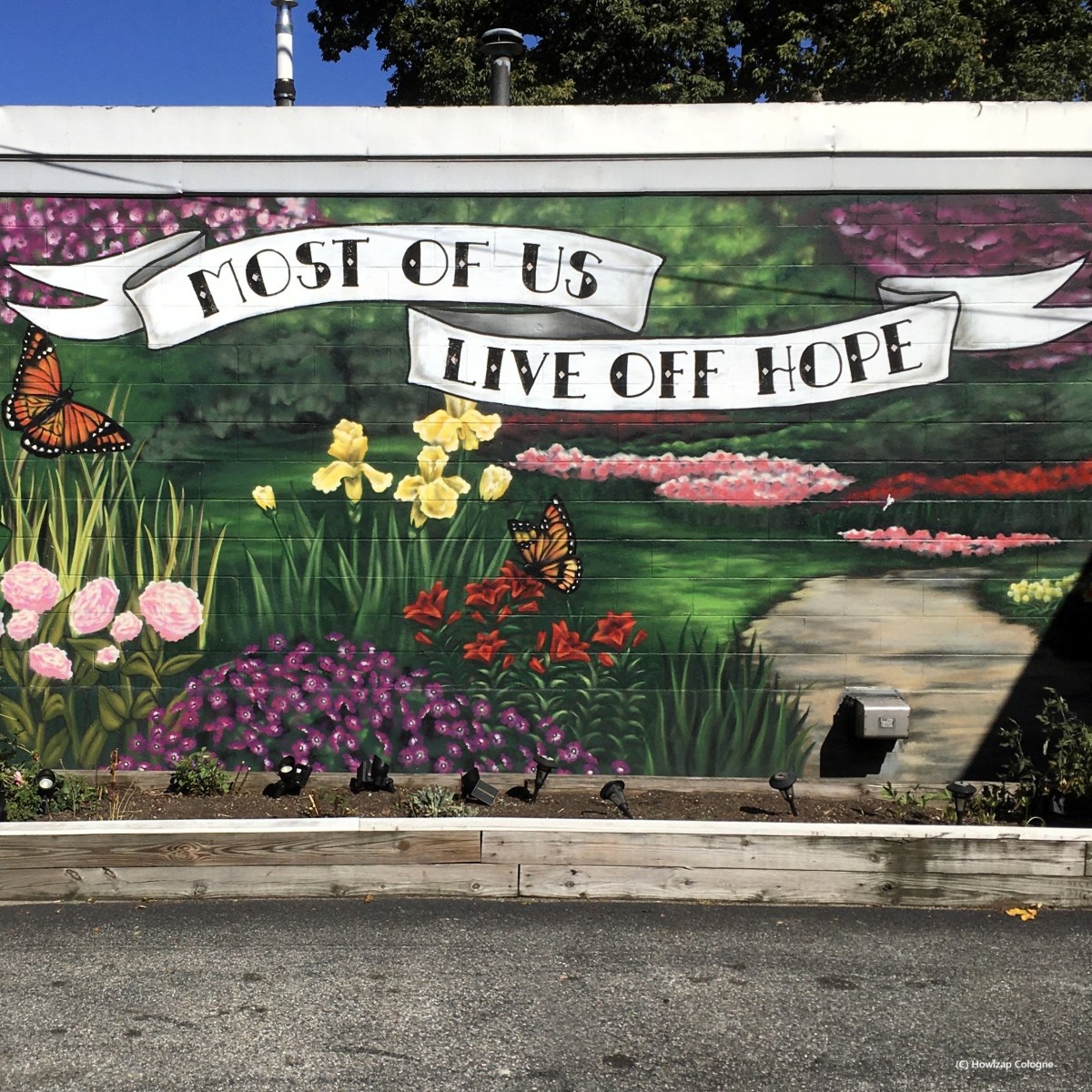 *A second opinion – living off&nbsp;Hope*